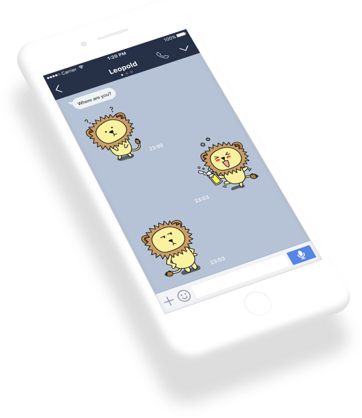 Leopold project image